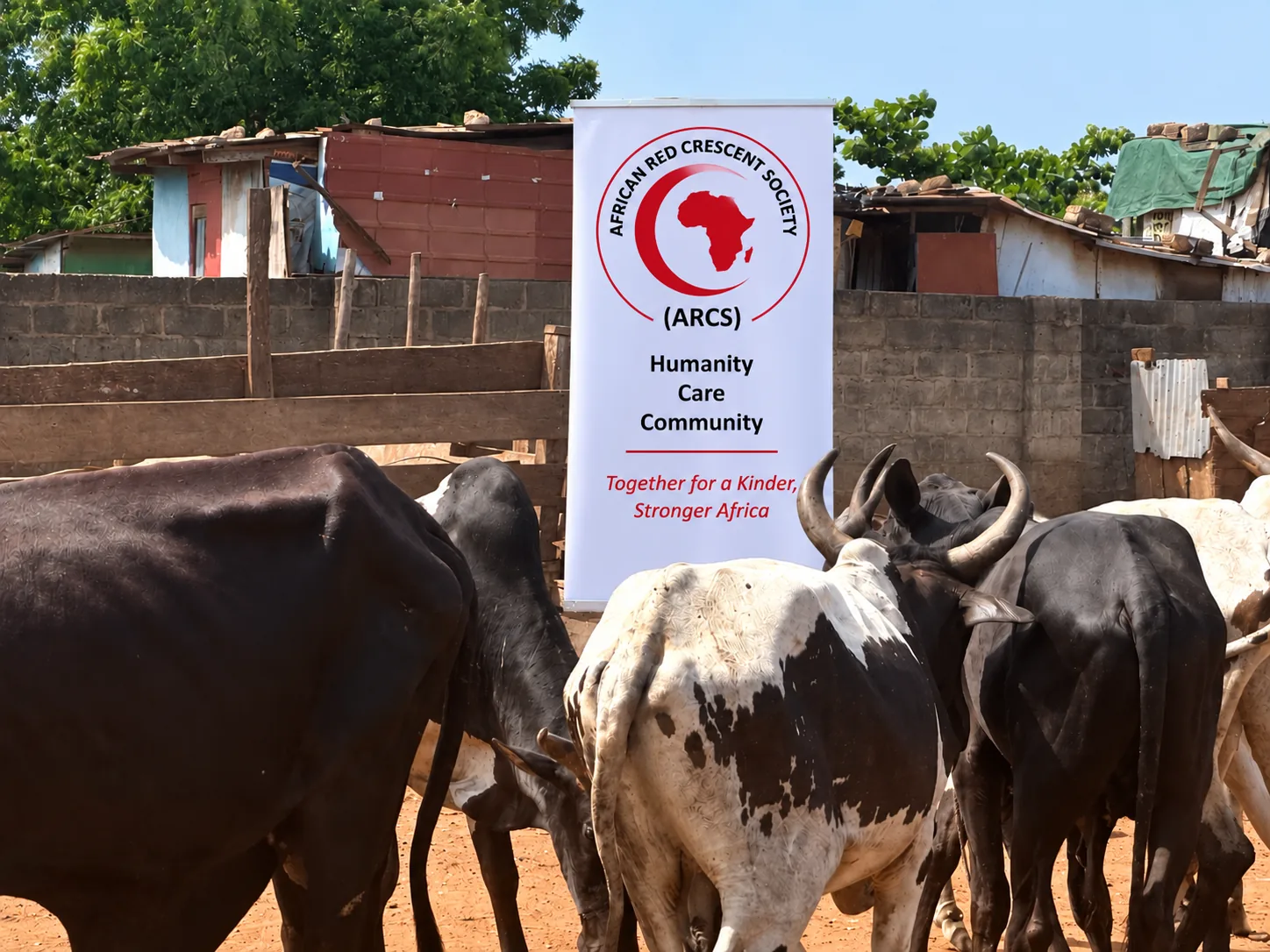 ARCS Qurbani and livestock support programme